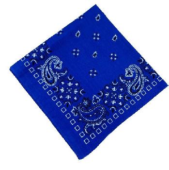 Bandana--Royal Blue Paisley Print